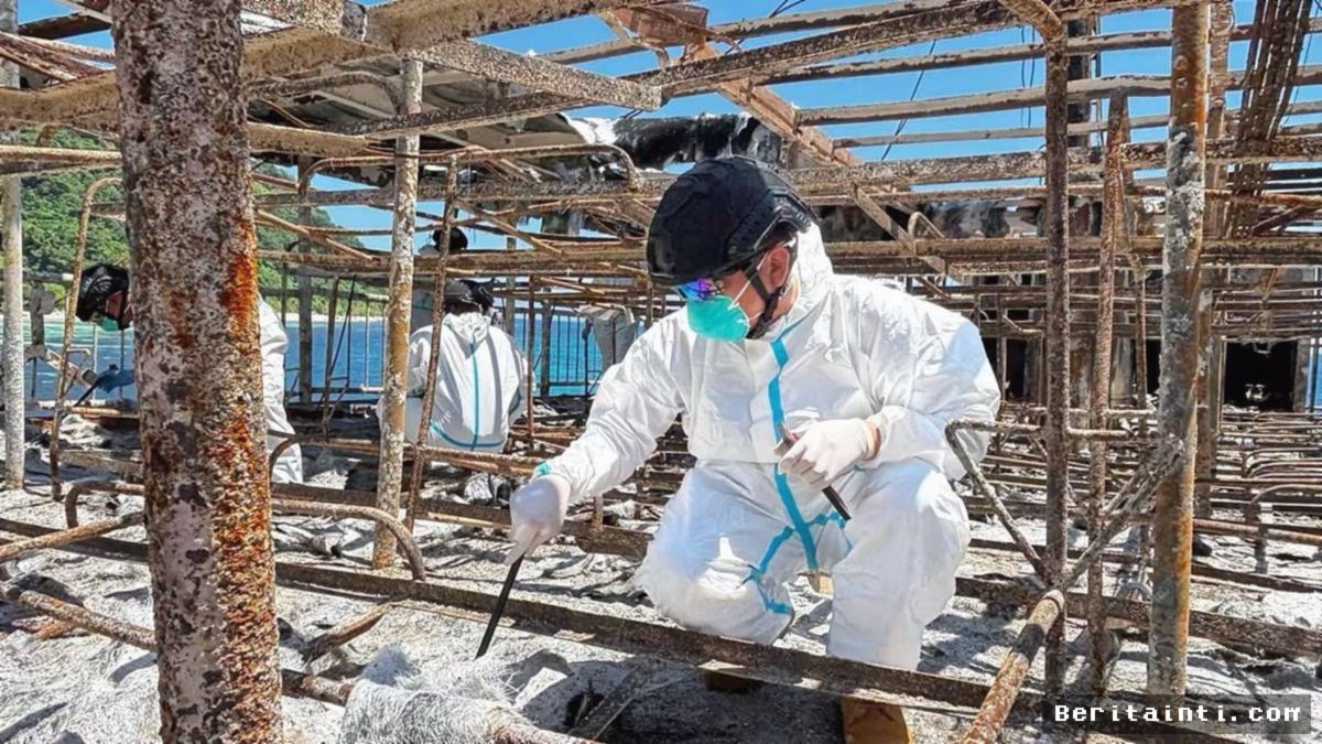 Filipina: Tragedi Feri Terbakar di Palawan Tewaskan 76 Penumpang