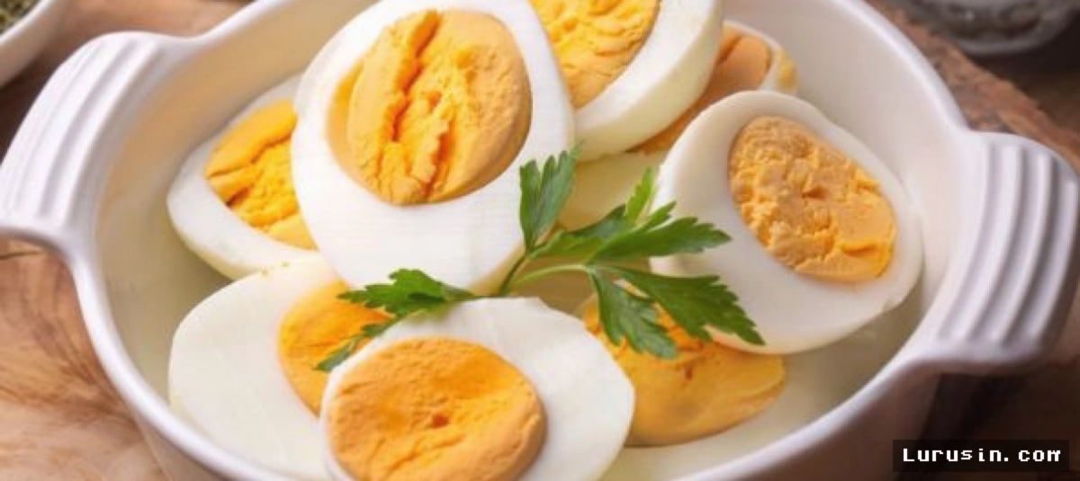 RISET: Telur Rebus Terbukti Efektif Tekan Nafsu Makan Berlebih