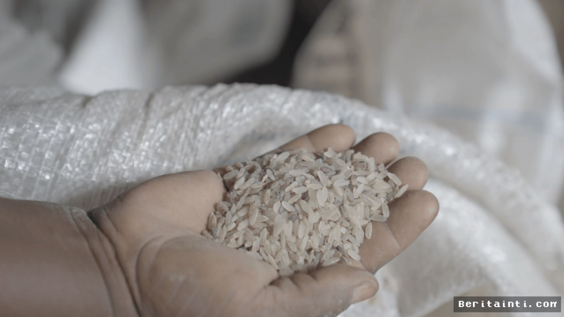 Cuaca Ekstrem dan Kemarau Panjang Hambat Produksi Beras Ofada di Ekiti