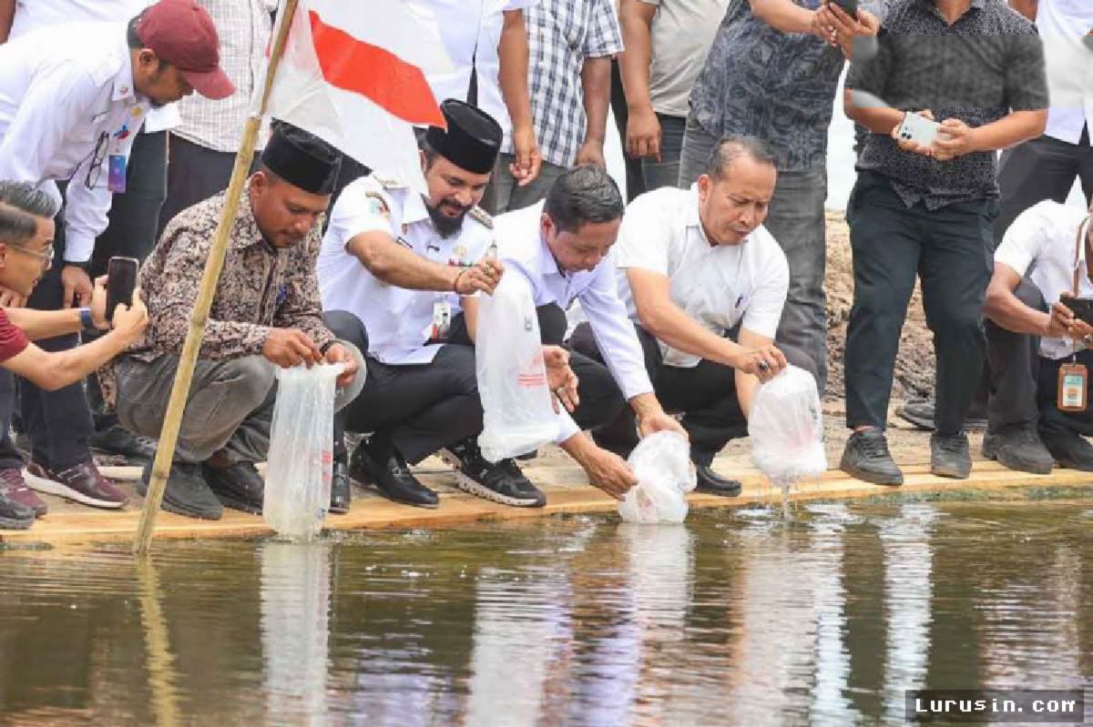 KKP Salurkan 4,3 Juta Benur Udang Pulihkan Tambak Aceh Timur