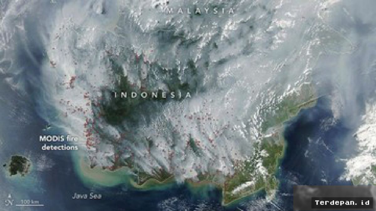 Satelit NASA Rekam Kabut Asap Kebakaran Hutan Selimuti Kalimantan