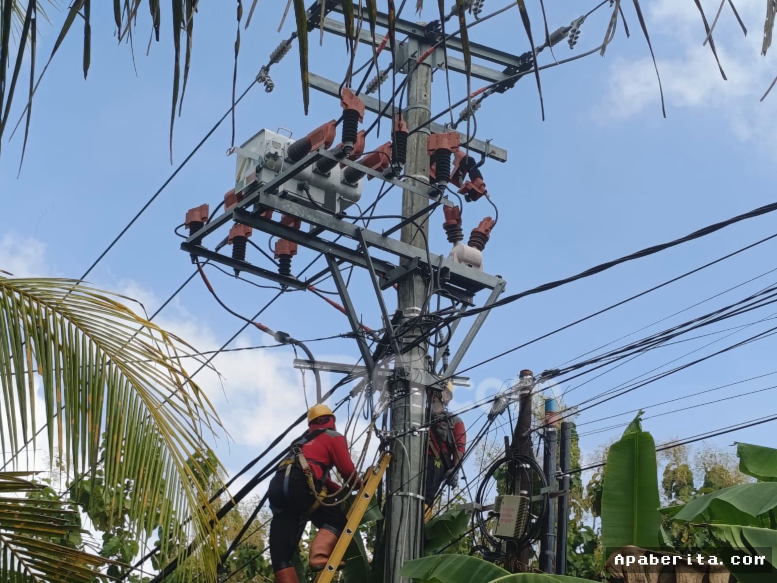 PLN Padamkan Listrik Bergilir di Bali Timur, Tabanan, dan Mengwi