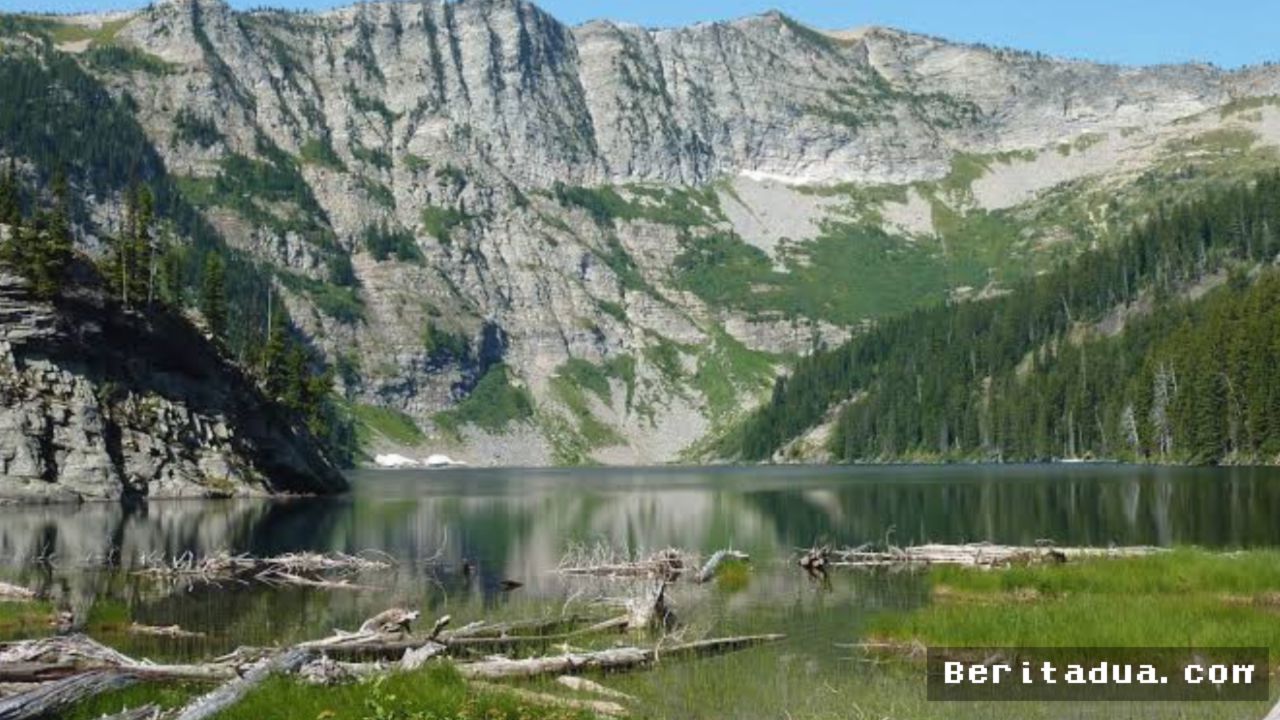 MONTANA — Pemerintah Montana Kucurkan $17,1 Juta Demi Konservasi Hutan Kayu