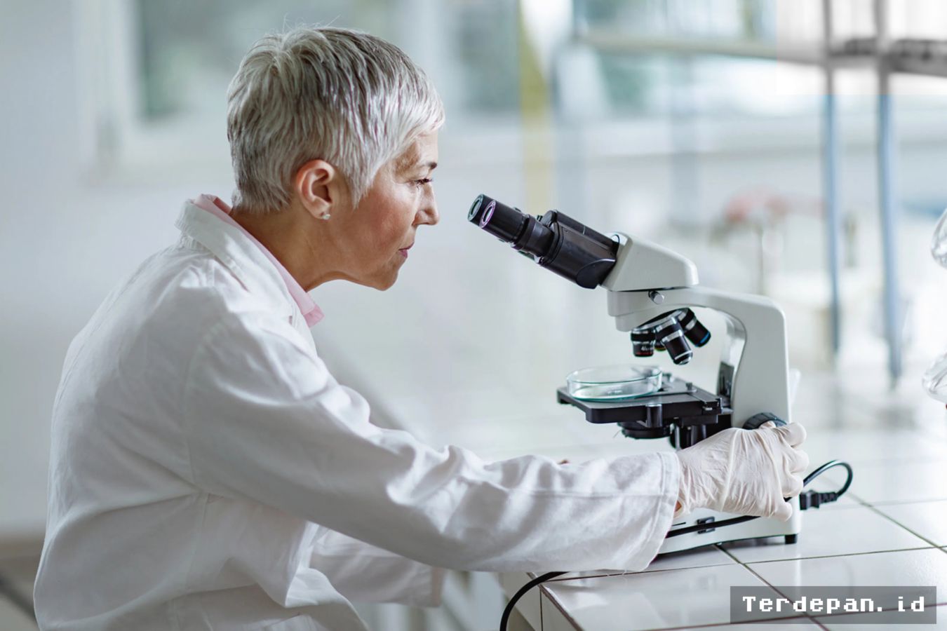 Riset Longevity Meningkat, Sains dan Keuangan Bersatu Solusikan Penuaan