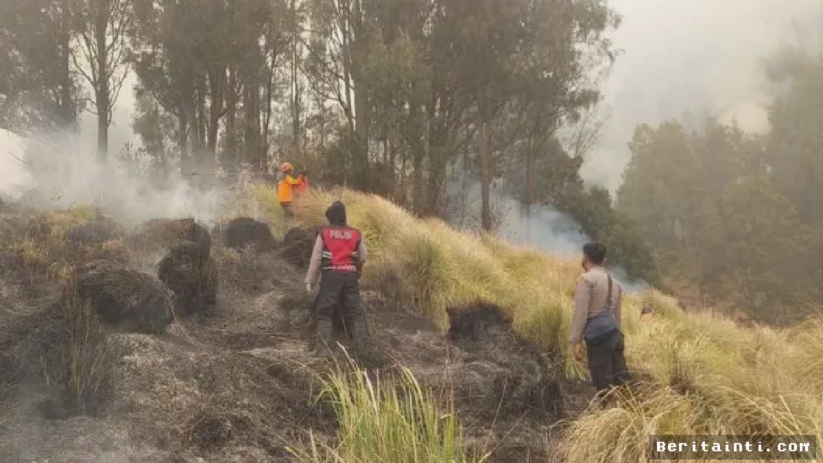 Kemenhut Terjunkan Tim Khusus Tangani Kebakaran Berulang Gunung Bromo