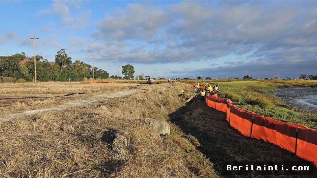 Palo Alto Bangun Tanggul Horizontal Tangkal Kenaikan Air Laut