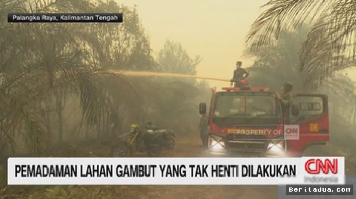 KALTENG — Tim Gabungan Berjibaku Padamkan Kebakaran Lahan Gambut