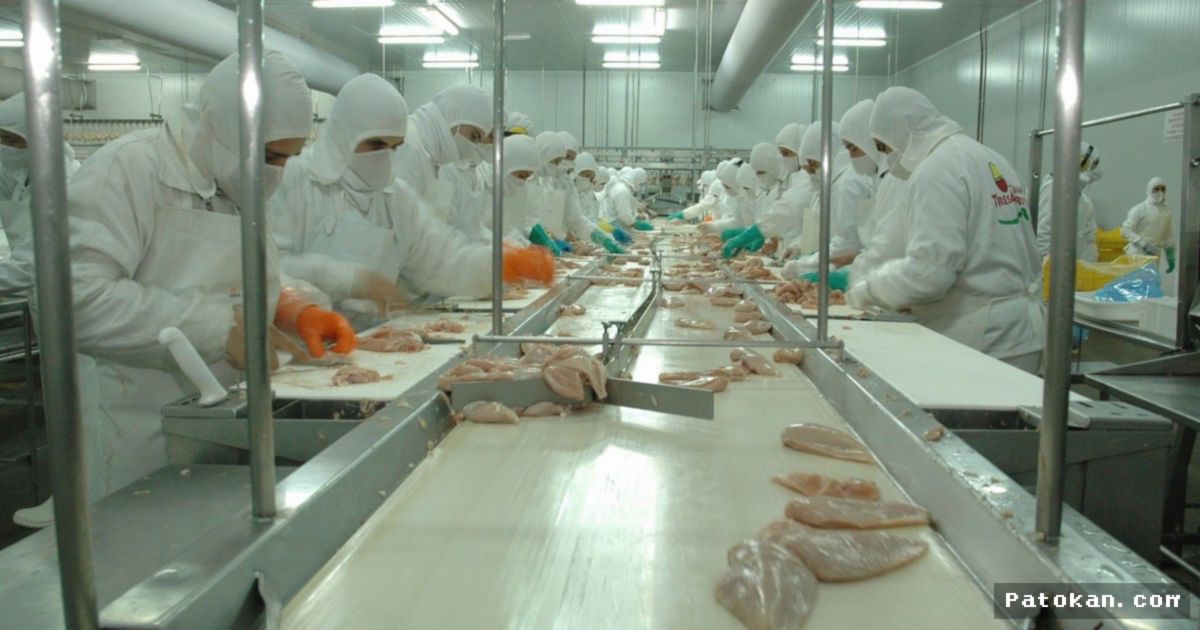 Granja Tres Arroyos Ajukan Restrukturisasi Utang Akibat Krisis Finansial
