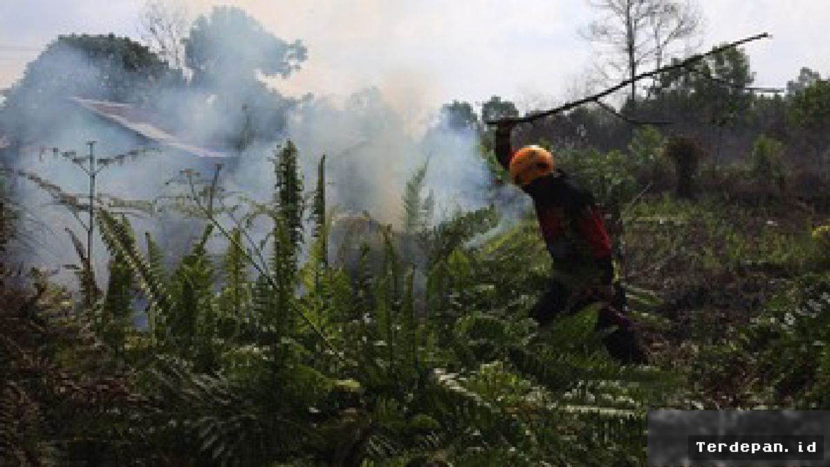 Pemprov Kalbar Perpanjang Status Tanggap Darurat Bencana Asap Karhutla
