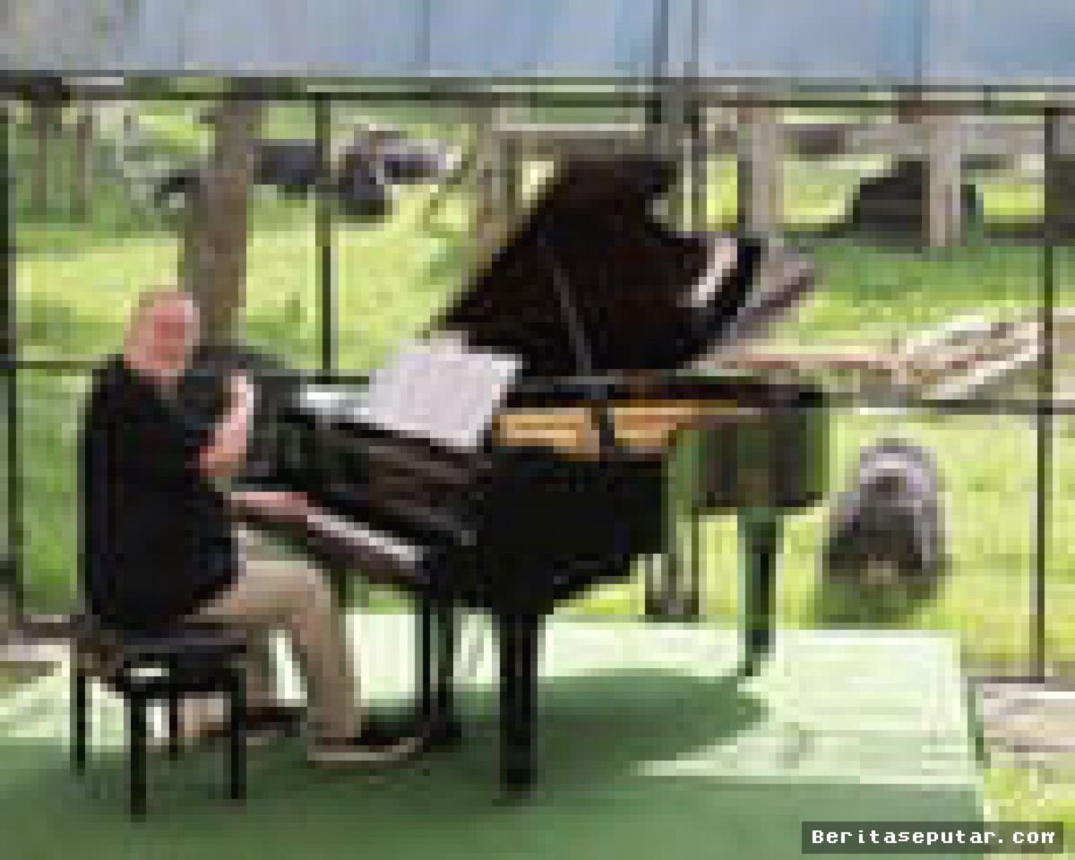 Rick Wakeman Konser Piano untuk 150 Beruang Bulan di Vietnam