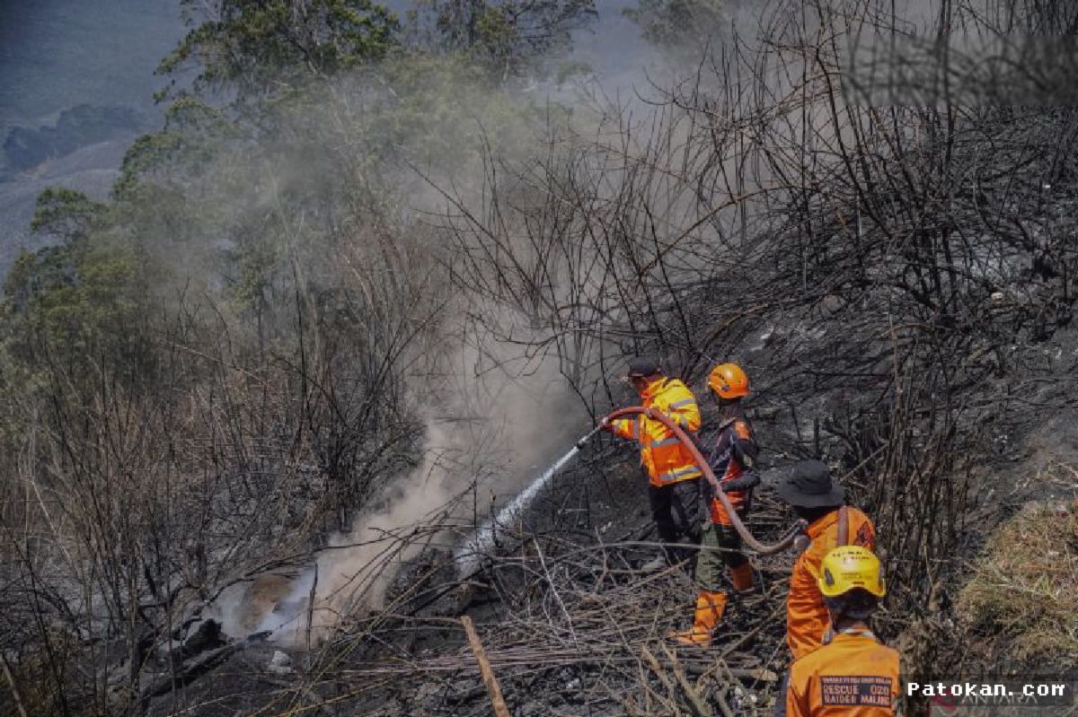 TNBTS — Tim Gabungan Berhasil Lokalisasi Titik Asap di Bromo