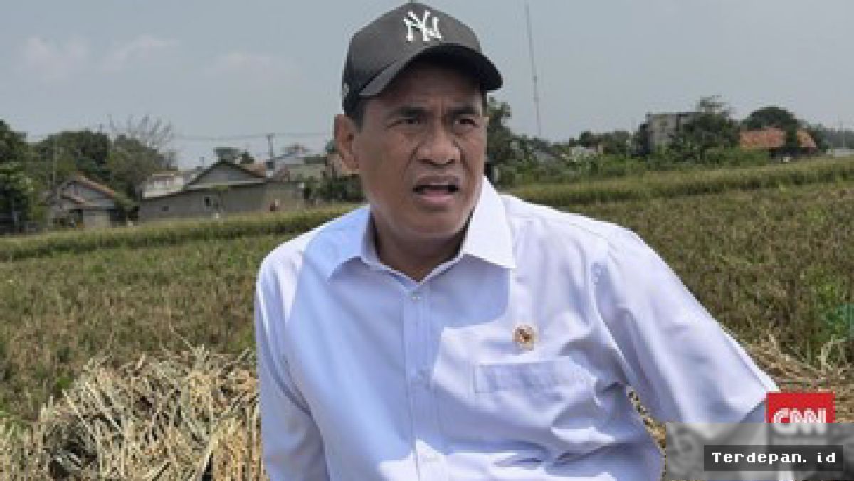 Mentan Amran Pastikan Stok Beras Nasional Aman 10 Bulan
