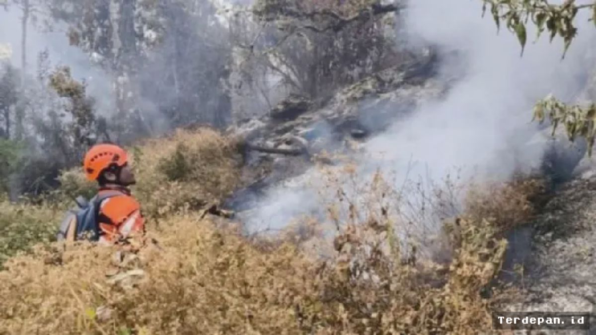 GUNUNG BUTHAK — Karhutla Meluas 700 Hektare Dipicu Angin Kencang