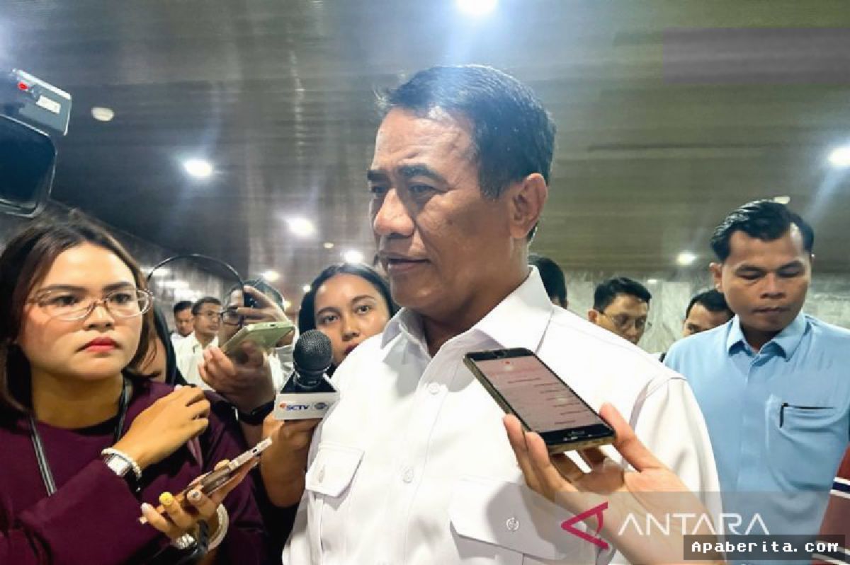 Mentan Amran Pastikan Pelaku Pemalsuan Beras Fortifikasi Diproses Hukum