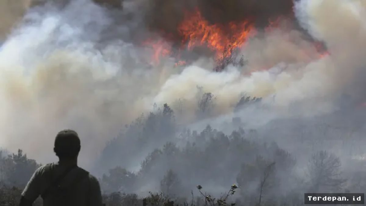 Kebakaran Hutan Ancam Kota Wisata Villa de Leyva di Kolombia