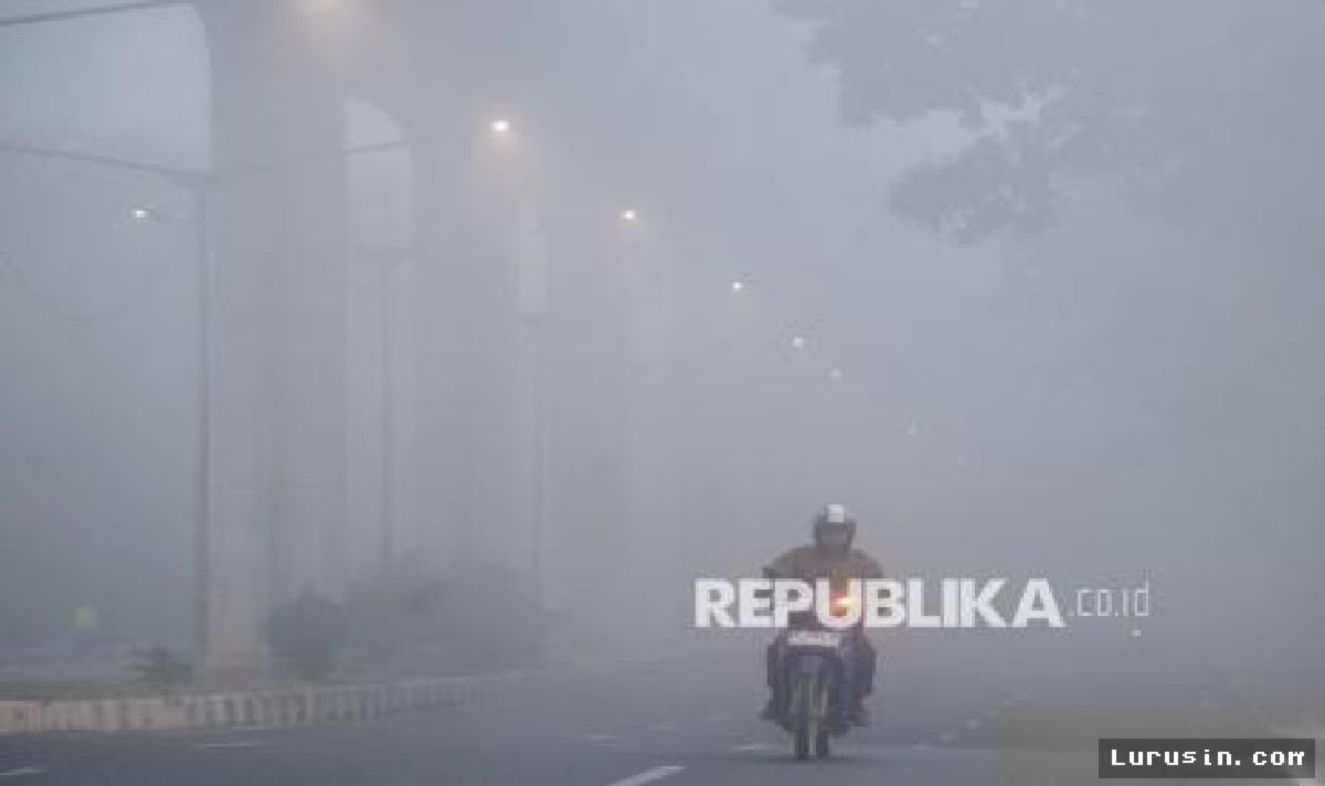 Kemenhut Ringkus Bagong, Pemodal Pembalakan Liar Kalimantan Tengah