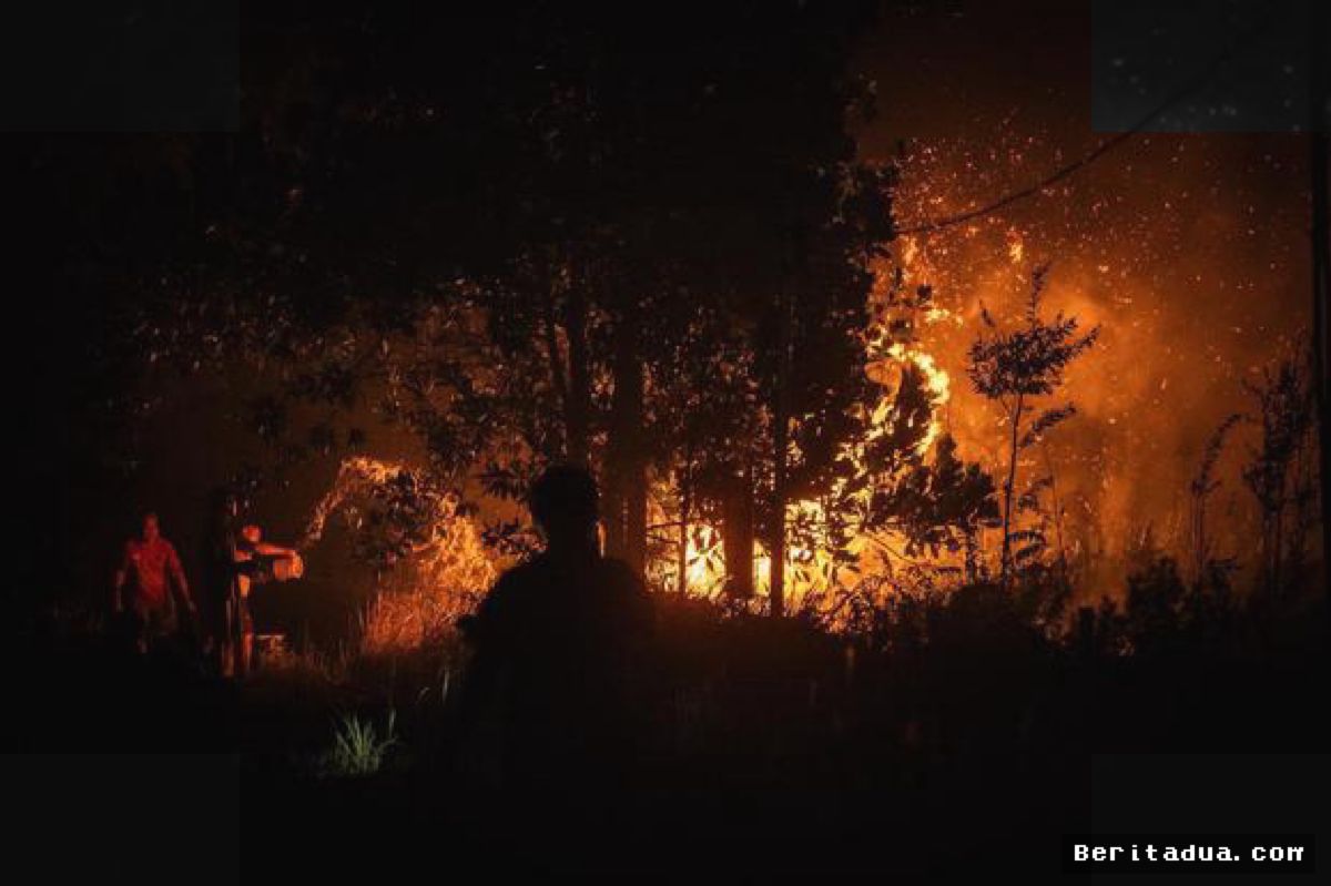JAKARTA — WALHI Sorot Inpres Karhutla Berisiko Kambinghitamkan Masyarakat Lokal