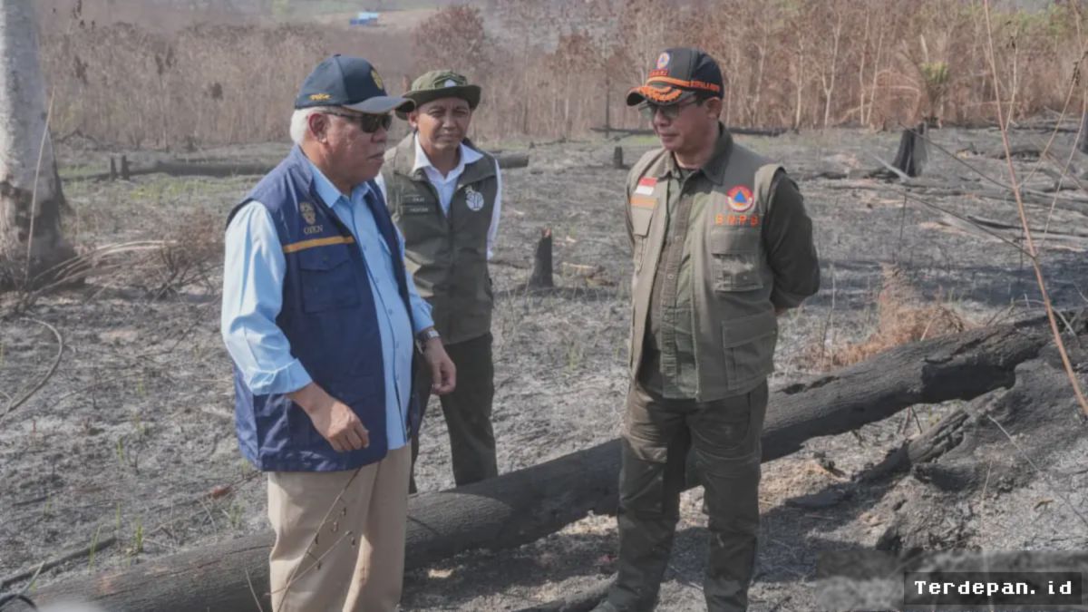 Karhutla Kembali Landa IKN, Manggala Agni Diterjunkan Padamkan Api
