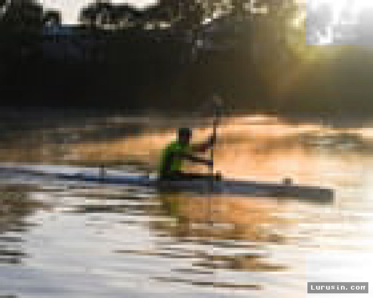 Olimpiade 2032: Sungai Berbuaya Fitzroy Resmi Jadi Lokasi Dayung