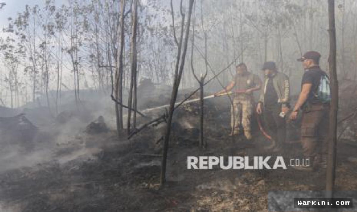 Kementerian Kehutanan: Hotspot Karhutla Nasional Naik 228 Titik