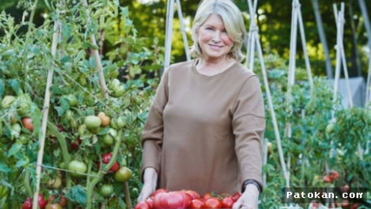 Martha Stewart Memperluas Koleksi Ratusan Unggas di Peternakan Bedford