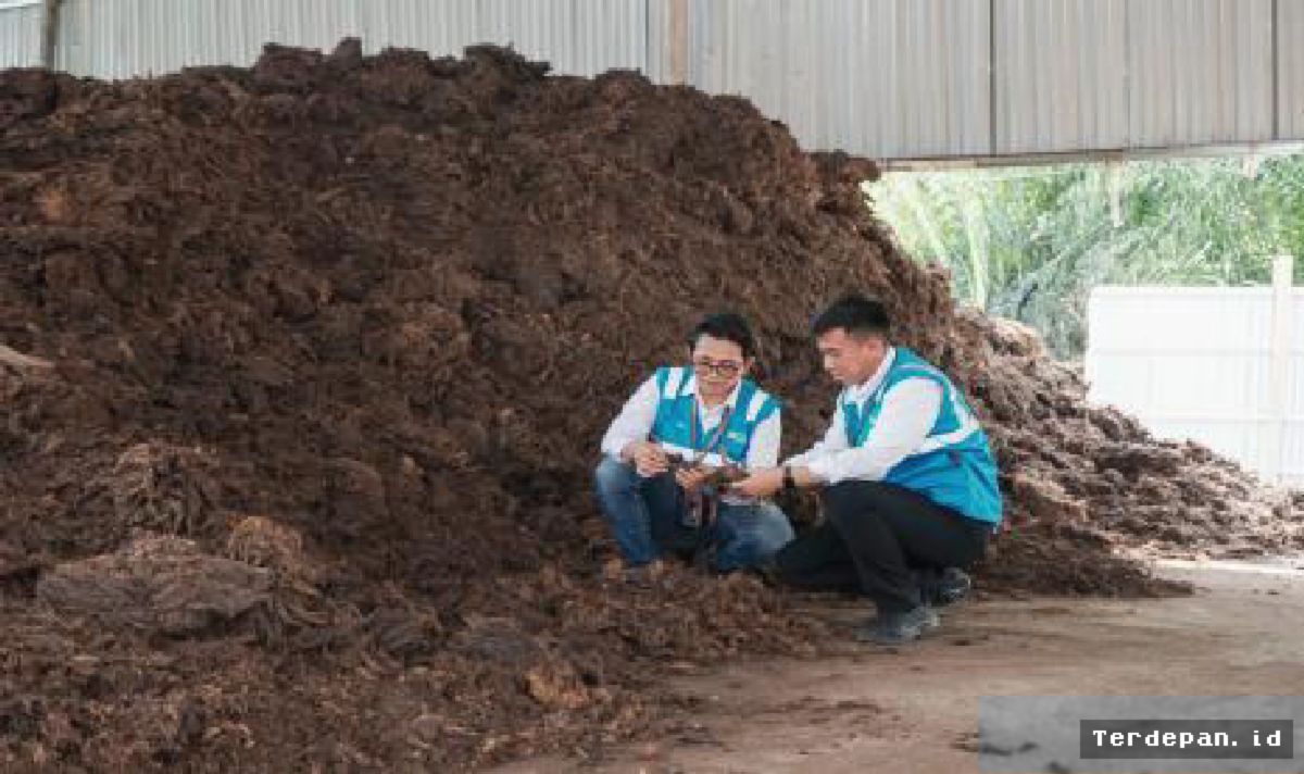 JAKARTA — PLN Baru Serap 2,5 Juta Ton Biomassa dari Potensi Industri