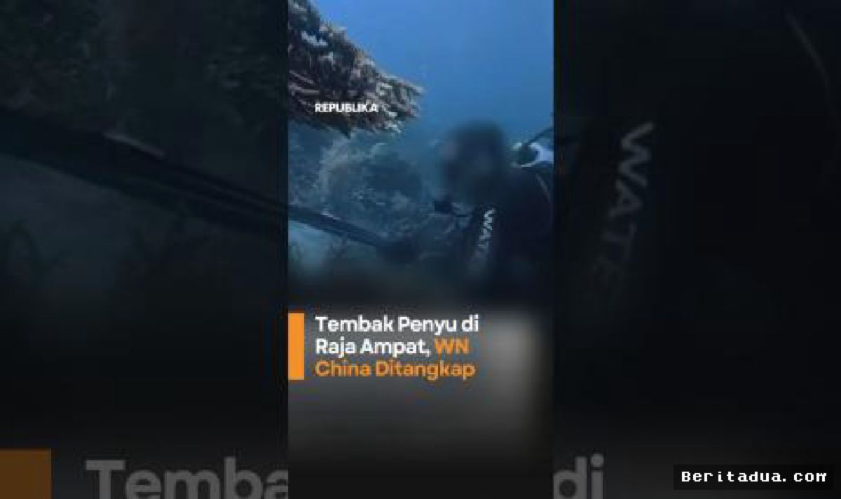 WN China Ditangkap Usai Tembak Penyu di Perairan Raja Ampat
