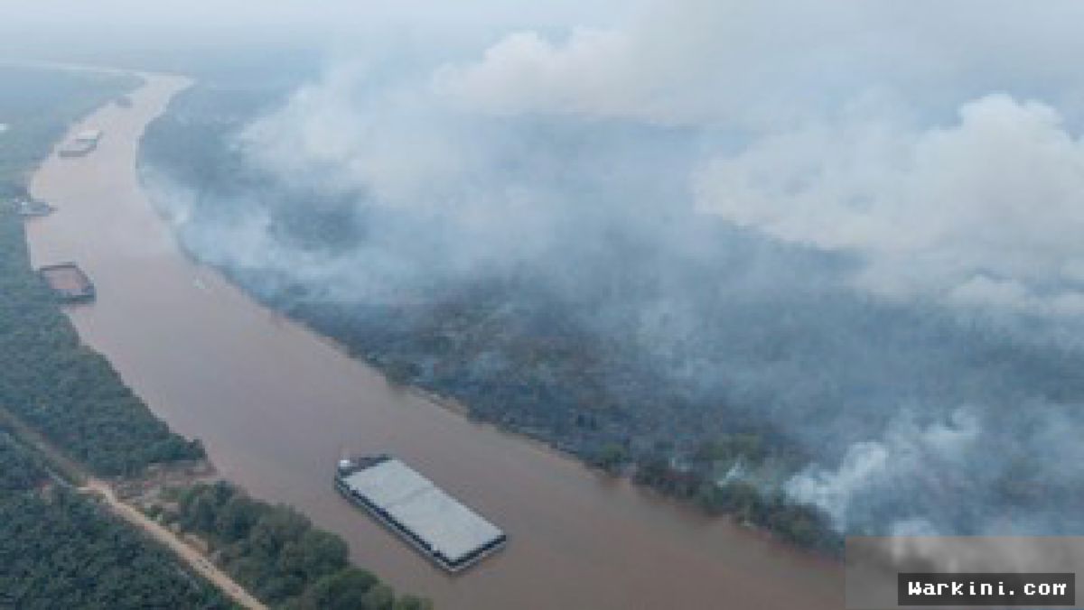 OKI — Karhutla Hanguskan 2.300 Hektare Habitat Gajah di Padang Sugihan