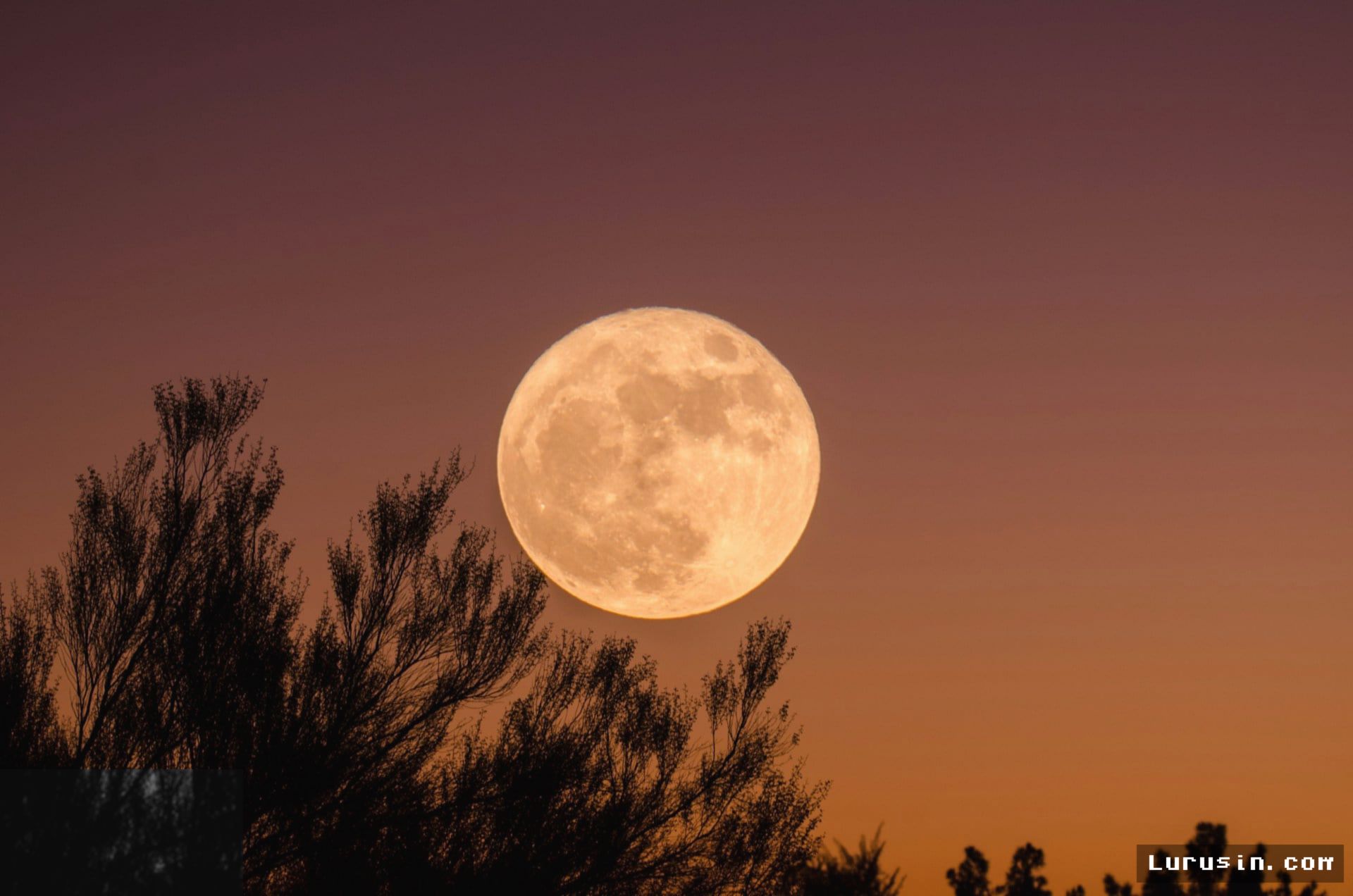ARGENTINA — Bulan Purnama September 2026 Memuncak pada 26 September