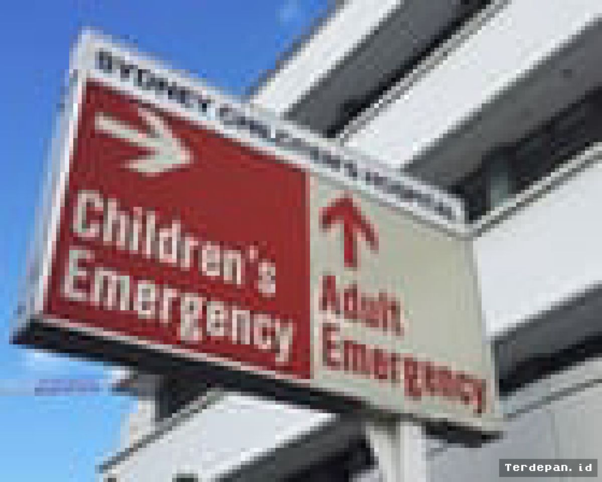 SYDNEY — Australia Mendirikan Institut Trauma Anak Pasca Tragedi Bondi