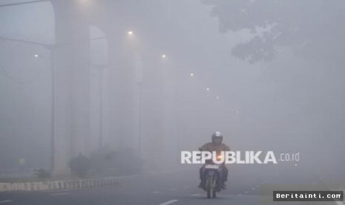 Kemenhut Tangkap Pemodal Pembalakan Liar di Hutan Kalimantan Tengah