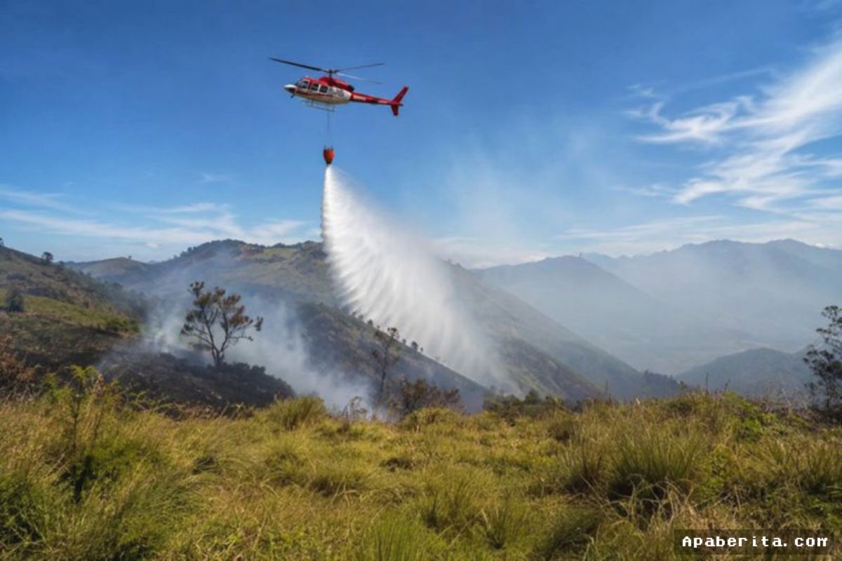 PASURUAN — Kebakaran Gunung Bromo Terkendali, Petugas Sisir Sisa Bara Api
