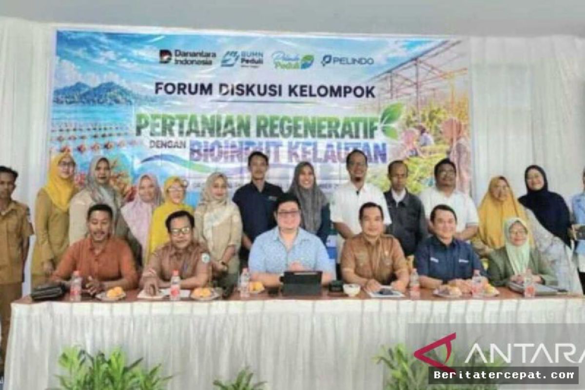Pelindo Gandeng PT IJO Kaji Pemanfaatan Rumput Laut di Sumbawa Barat