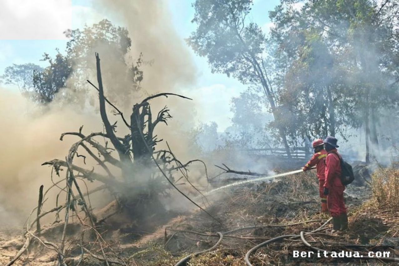 Damkarmat Buleleng Peringatkan Ancaman Kebakaran Akibat Cuaca Kering Ekstrem