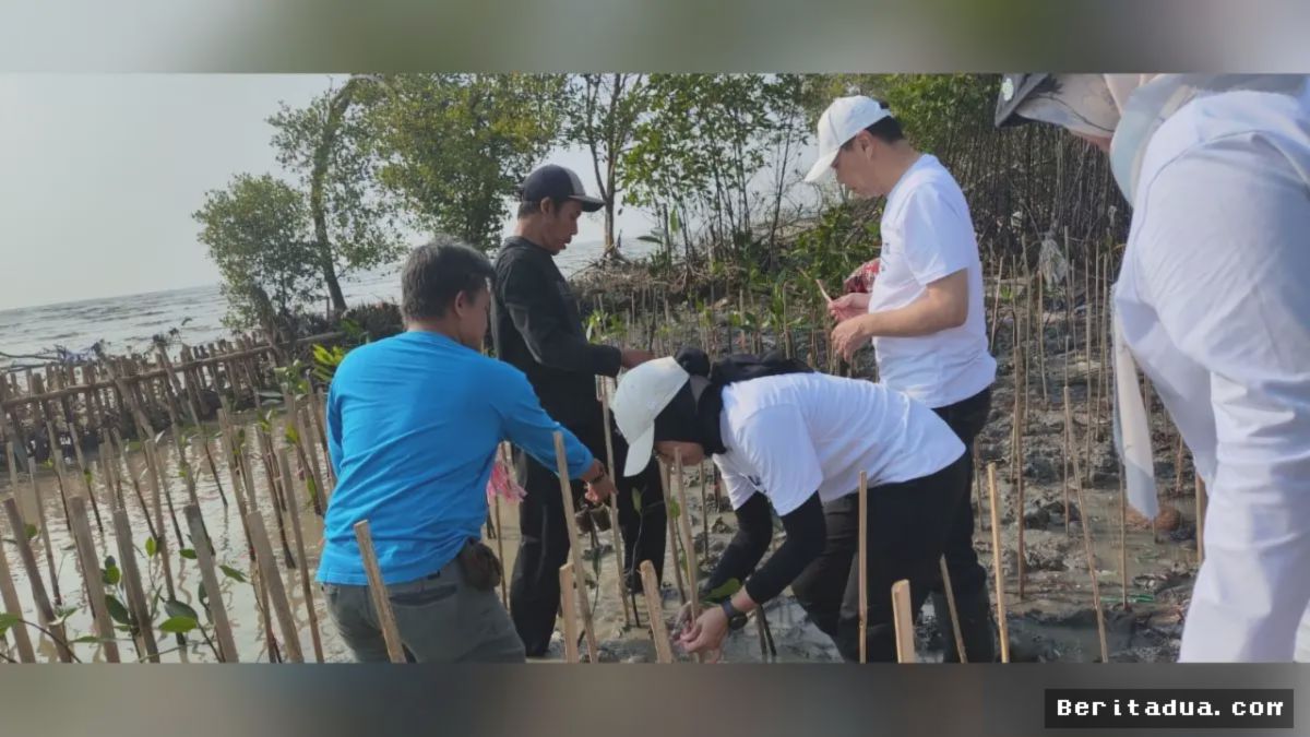 KARAWANG — Abrasi Parah Mengikis 23 Kilometer Garis Pantai