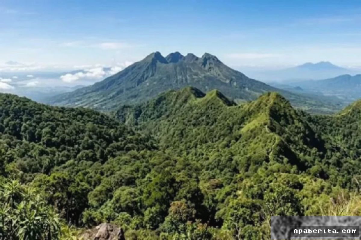 UGM: PLTP Gunung Ungaran Siap Perkuat Ketahanan Listrik Jawa Tengah
