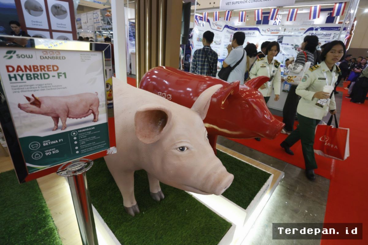PT SOW Dorong Modernisasi Industri Babi Lewat Genetika Unggul