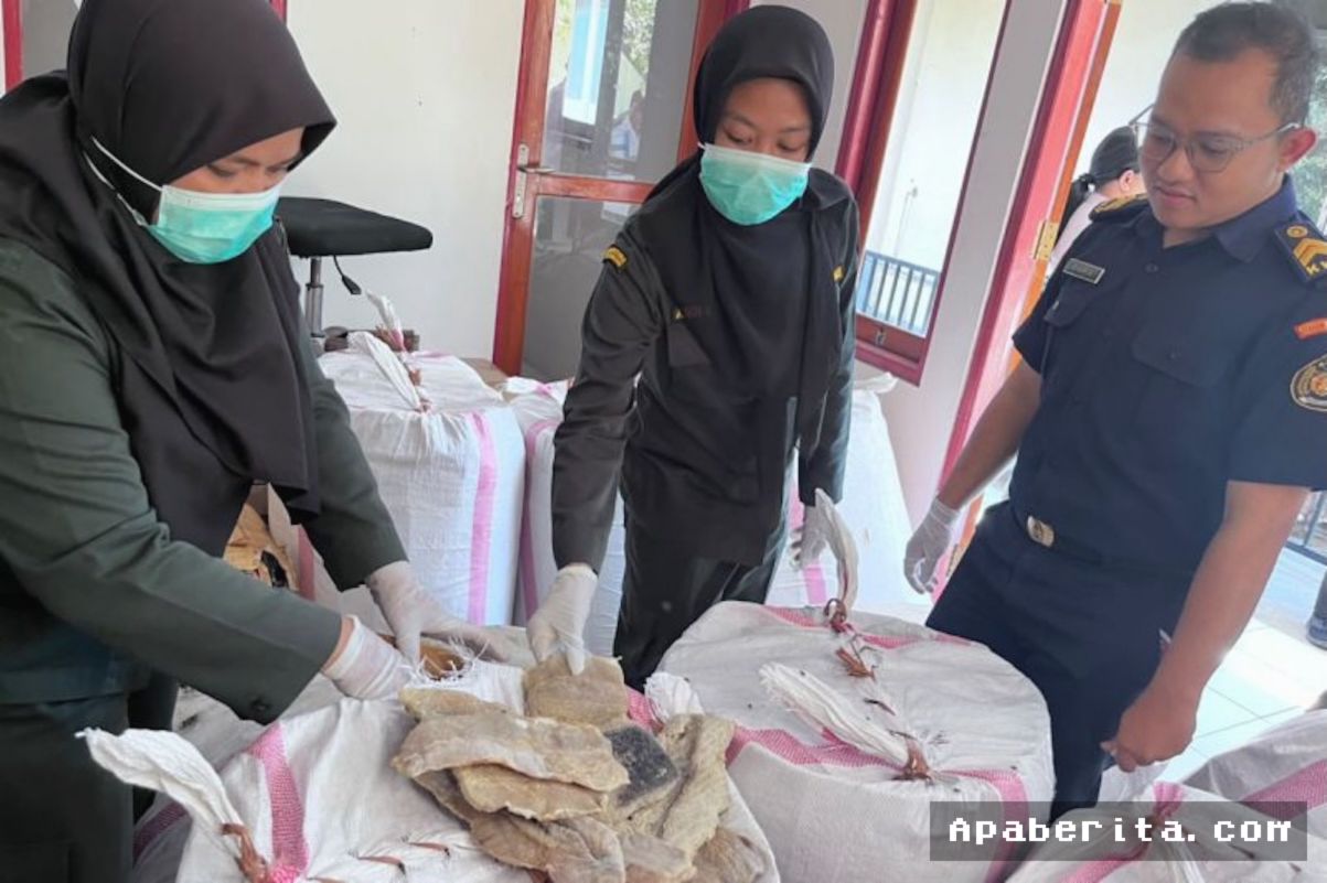 KUPANG — Karantina NTT Gagalkan Pengiriman 1,2 Ton Daging Hiu Ilegal