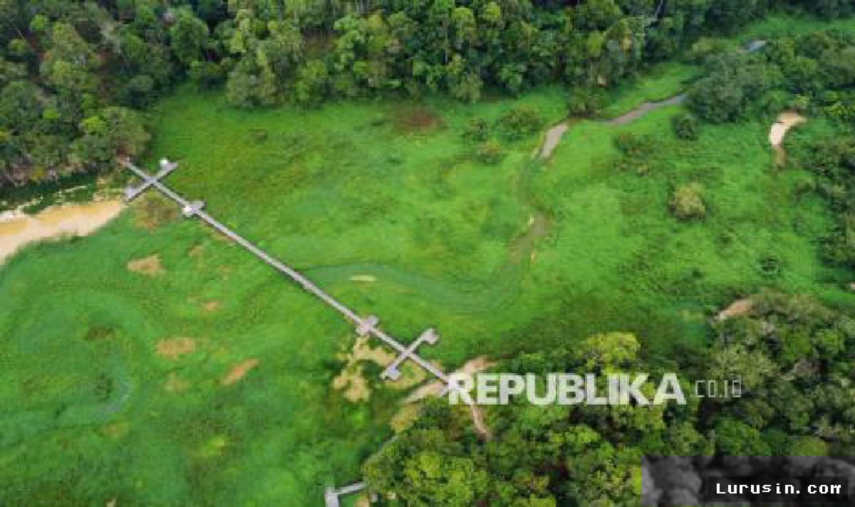 Waduk Manggar Balikpapan Diserbu Gulma, Pasokan Air Bersih Terancam
