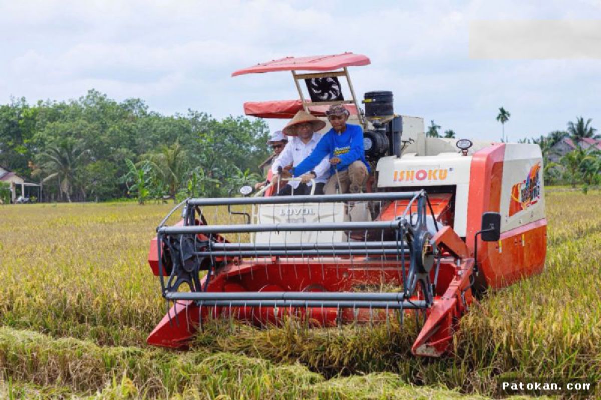 BI Kaltim — Metode LEISA Tingkatkan Produktivitas Padi Hingga 44,8 Persen