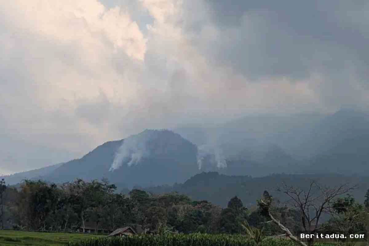 NGAWI — Kebakaran Hutan Gunung Lawu Ancam Habitat Satwa Langka