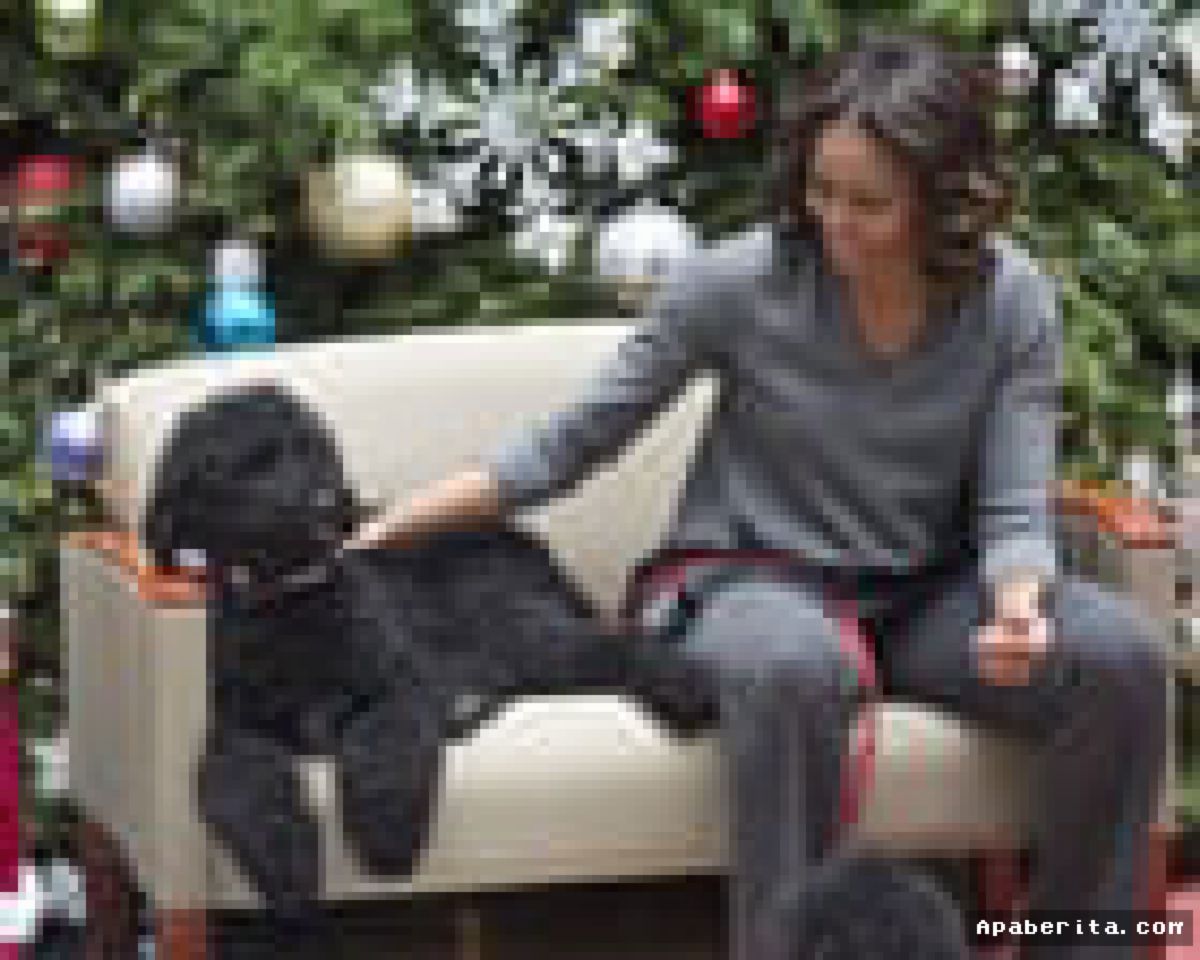 Sunny, Anjing Kesayangan Keluarga Barack Obama Mati di Usia 14 Tahun