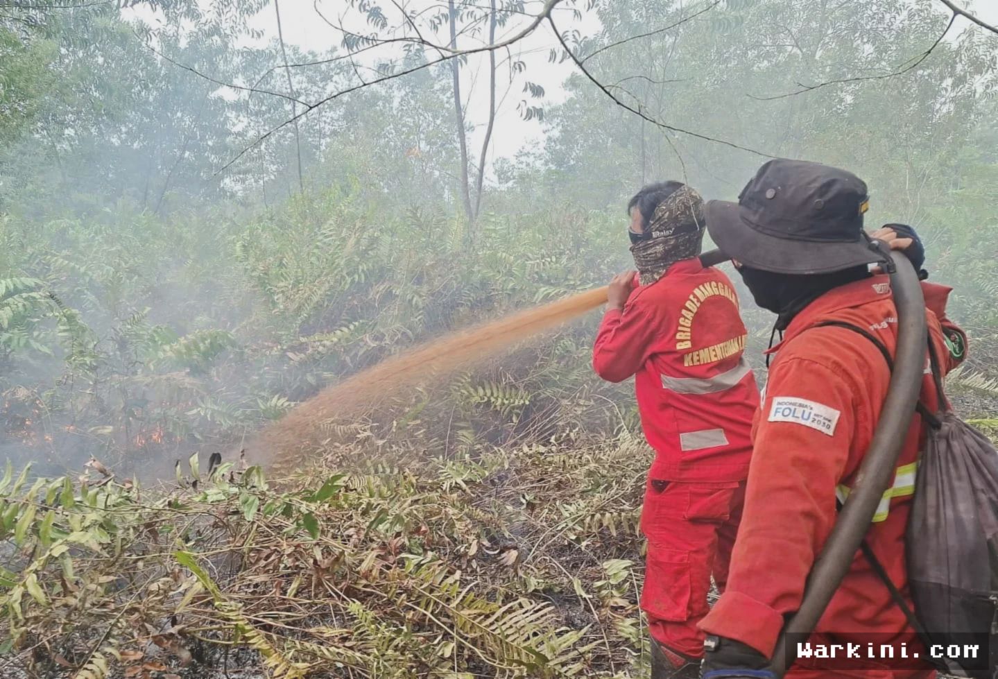 Hotspot Nasional Melandai, Kemenhut Fokus Kendalikan Karhutla di Sumsel