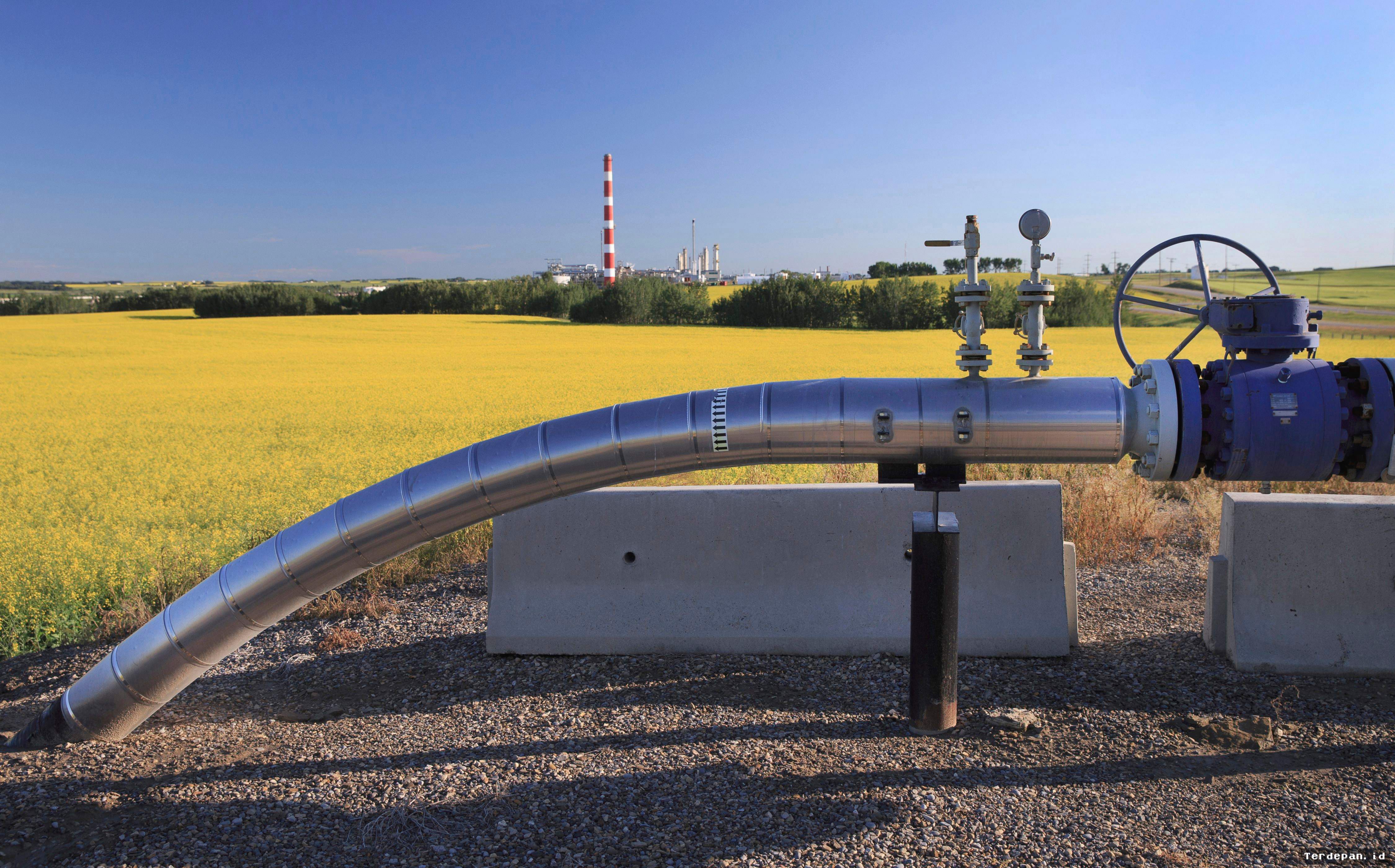 CALGARY — TC Energy Desak Kolaborasi Pasokan Gas Alberta