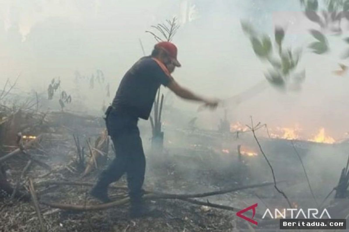 BNPB Perluas Operasi Penanganan Karhutla ke Luar Enam Provinsi Prioritas
