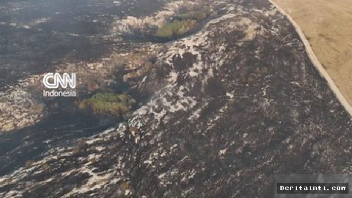 Kebakaran Hutan Bosnia Meluas, Kepulan Asap Tebal Capai Wilayah Kroasia