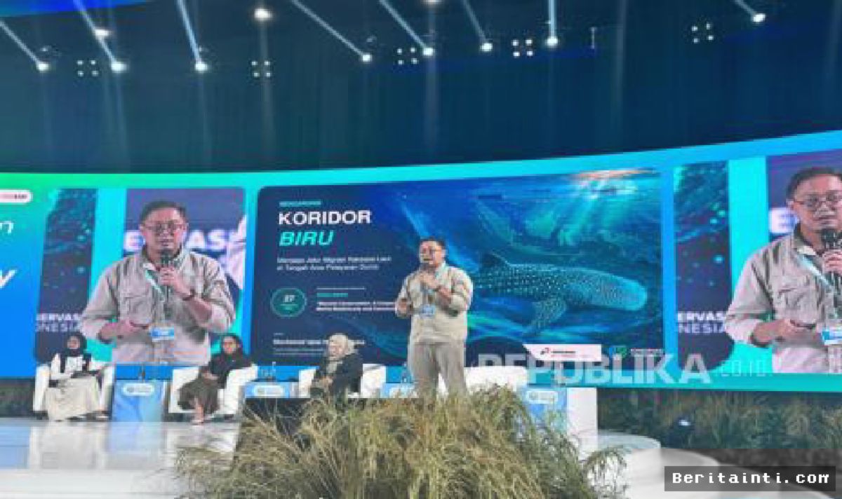 PIS Terapkan Teknologi Navigasi Lindungi Hiu Paus di Kalimantan