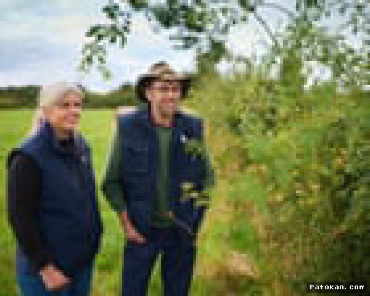 INGGRIS — Petani Adopsi Seni Pemangkasan Pagar Tanaman Kuno demi Lingkungan