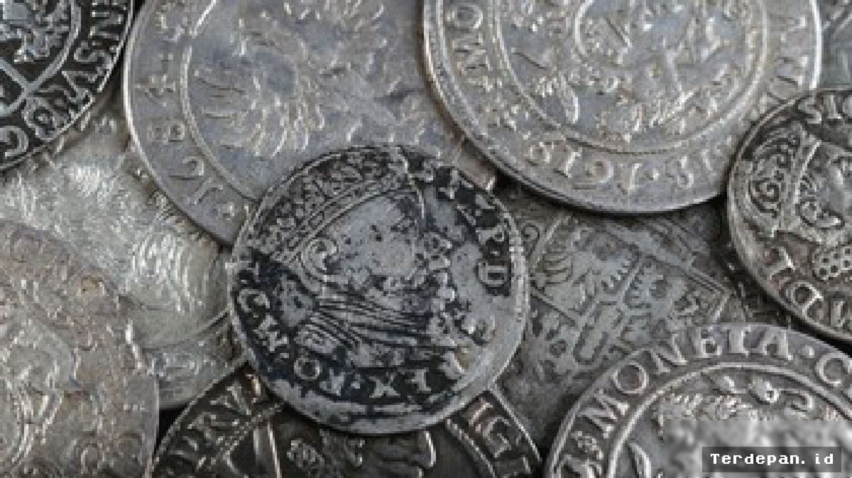 DENMARK — Warga Temukan Harta Karun Perak Viking Seberat 18,5 Kilogram