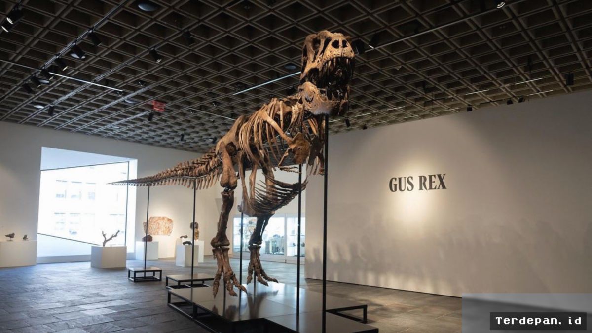 Peneliti Temukan Fosil Bulu Burung di Dalam Kotoran Dinosaurus Purba